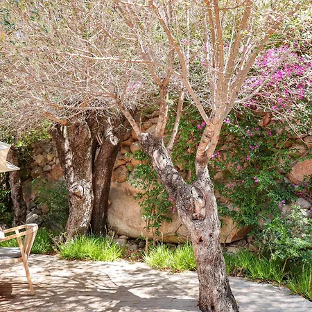 Casta Joia Di Cirendinu * Sainte-Lucie de Porto-Vecchio