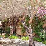 Casta Joia Di Cirendinu