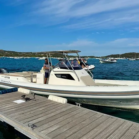 Casta Joia Di Cirendinu