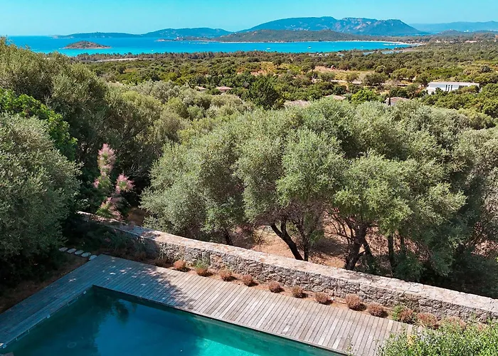 Casta Joia Di Cirendinu * Sainte-Lucie de Porto-Vecchio